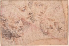 Five Male Portrait Heads