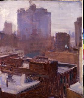 Landscape, New York Roofs
